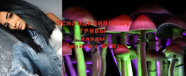 MESCALINE Белокуриха