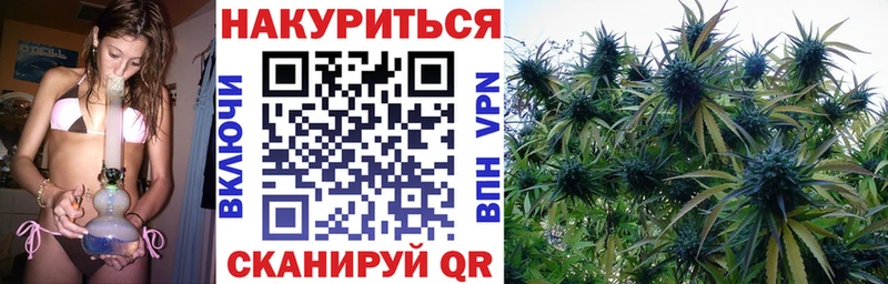 цена   Болгар  Бошки марихуана план 